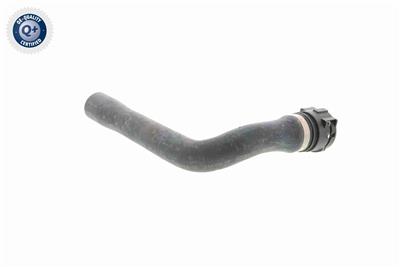 VAICO V10-0895 EAN: 4046001497841.