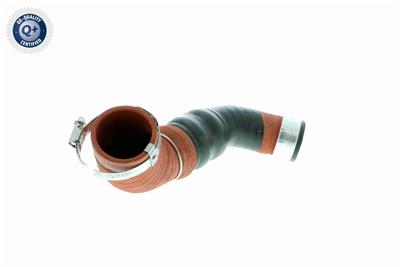 VAICO V10-2919 EAN: 4046001604904.