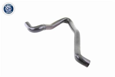 VAICO V10-3197 EAN: 4046001635298.