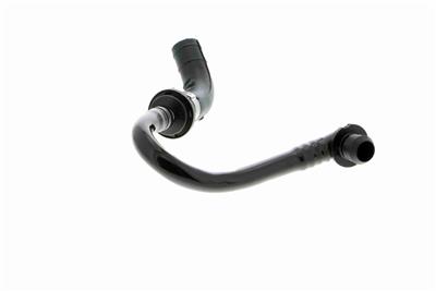 VAICO V10-3612 EAN: 4046001664991.