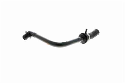 VAICO V10-3623 EAN: 4046001665080.