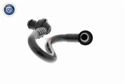 VAICO V10-3646 EAN: 4046001665875.