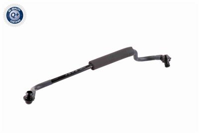 VAICO V10-3647 EAN: 4046001665882.