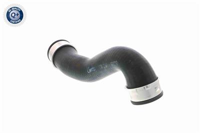 VAICO V10-3761 EAN: 4046001688164.