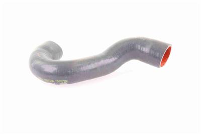 VAICO V10-3784 EAN: 4046001688454.