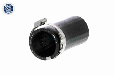 VAICO V10-3803 EAN: 4046001688614.