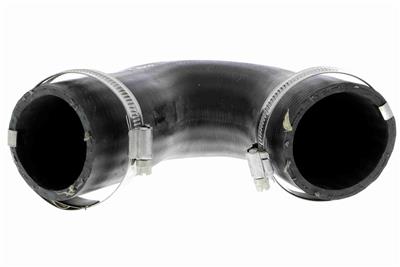 VAICO V10-3808 EAN: 4046001688652.