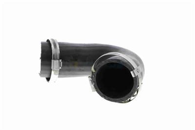 VAICO V10-3808 EAN: 4046001688652.