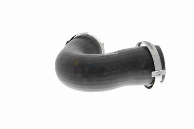 VAICO V10-3808 EAN: 4046001688652.