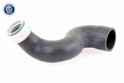 VAICO V10-3825 EAN: 4046001688805.