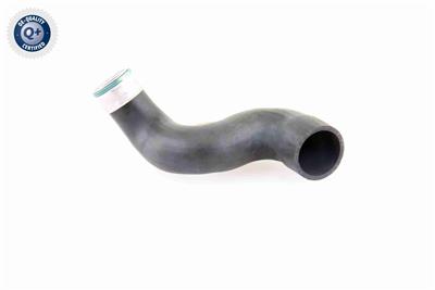 VAICO V10-3825 EAN: 4046001688805.