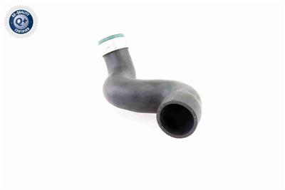 VAICO V10-3825 EAN: 4046001688805.