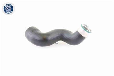 VAICO V10-3825 EAN: 4046001688805.