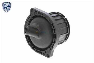 VAICO V10-4341 EAN: 4046001779046.