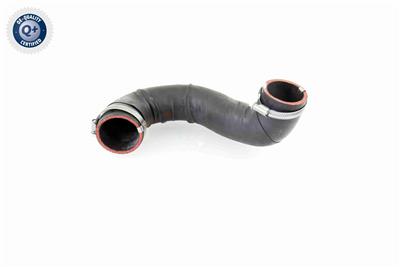 VAICO V10-4381 EAN: 4046001787263.