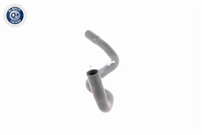 VAICO V10-4769 EAN: 4046001835520.