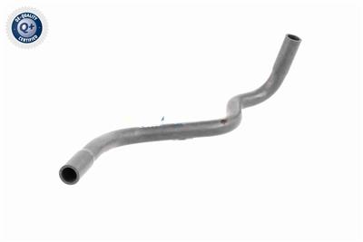 VAICO V10-4769 EAN: 4046001835520.