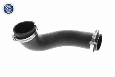 VAICO V10-4817 EAN: 4046001845772.