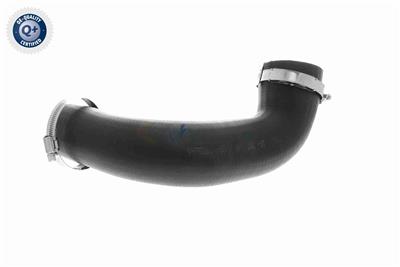 VAICO V10-4817 EAN: 4046001845772.