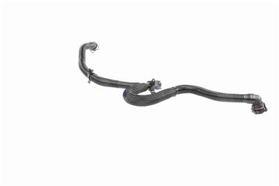 VAICO V10-5455 EAN: 4062375135615.