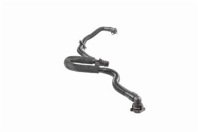 VAICO V10-5455 EAN: 4062375135615.