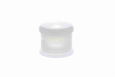 VAICO V10-6100 EAN: 4046001257698.