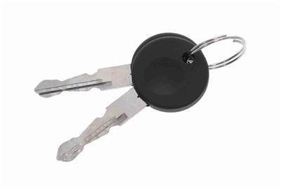 VAICO V10-6145 EAN: 4046001302992.