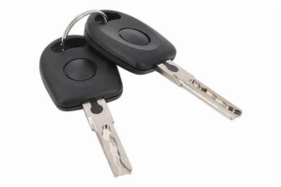 VAICO V10-6715 EAN: 4062375264605.