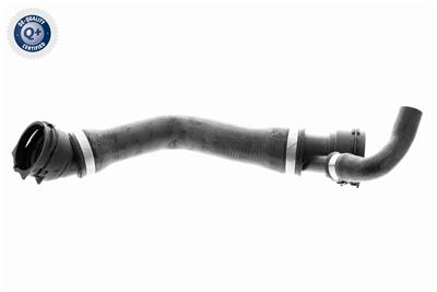 VAICO V20-1331 EAN: 4046001513534.