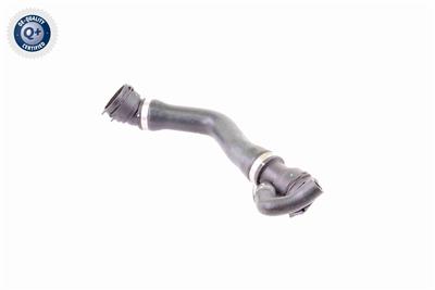 VAICO V20-1331 EAN: 4046001513534.