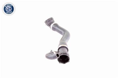 VAICO V20-1331 EAN: 4046001513534.