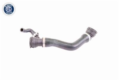 VAICO V20-1331 EAN: 4046001513534.