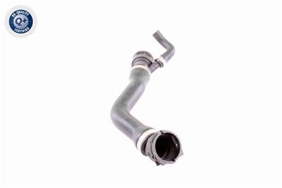 VAICO V20-1331 EAN: 4046001513534.