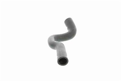 VAICO V20-1704 EAN: 4046001605451.