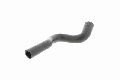 VAICO V20-1704 EAN: 4046001605451.