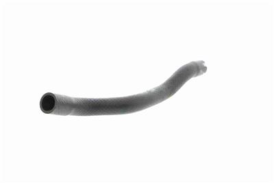 VAICO V20-1709 EAN: 4046001605499.