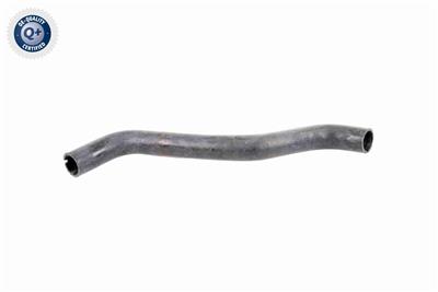 VAICO V22-0371 EAN: 4046001629471.