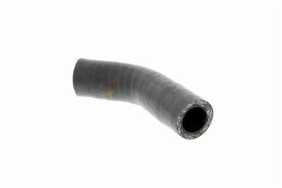 VAICO V24-0631 Číslo výrobce: VAV24-0631-46456214. EAN: 4046001689765.