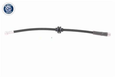 VAICO V30-0613 EAN: 4046001911026.