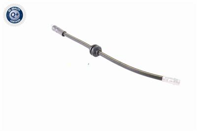 VAICO V30-0613 EAN: 4046001911026.