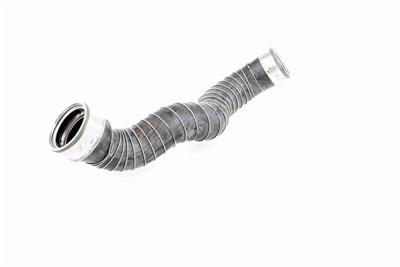 VAICO V30-1788 EAN: 4046001606823.