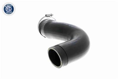 VAICO V30-3151 EAN: 4046001818240.