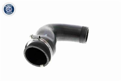 VAICO V30-3151 EAN: 4046001818240.