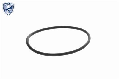 VAICO V30-4255 EAN: 4062375382620.