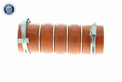 VAICO V42-0615 Číslo výrobce: VAV42-0615-1440.N5. EAN: 4046001789052.