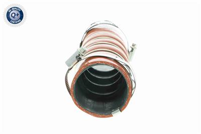 VAICO V42-0615 Číslo výrobce: VAV42-0615-1440.N5. EAN: 4046001789052.