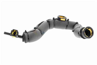 VAICO V42-0856 EAN: 4062375137213.