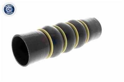 VAICO V42-0871 EAN: 4062375159857.