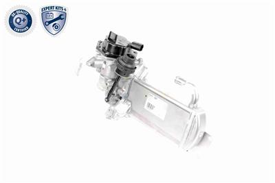 VEMO V10-63-0050 EAN: 4046001579882.