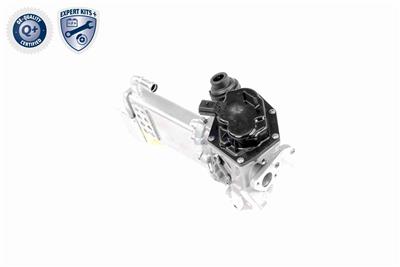 VEMO V10-63-0050 EAN: 4046001579882.